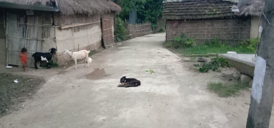 inar news lahan.3 photo