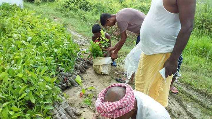 manniy ashok yadav news.docx 2 photo