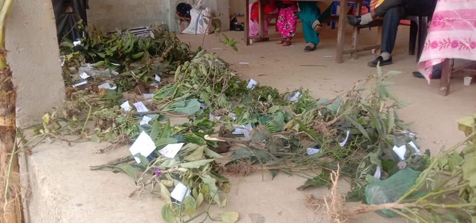 plant shibir news lahan.photo 2